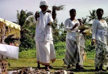 Upacara Mreteka / Ngaben Bikul (Tikus) Di Pura Luhur Puseh Bedha, Desa Bongan-Tabanan – Info Wisata Tabanan