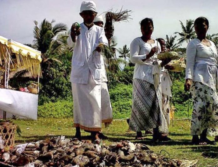 ngaben-bikul-tabanan
