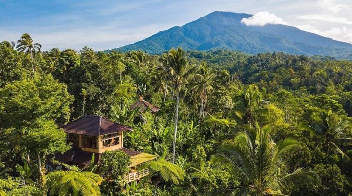 sarinbuana-800x445-1