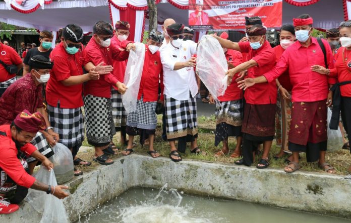 27-01-22_Bupati_Tabanan_Bagikan_2000_Bibit_Ikan_2.jpg