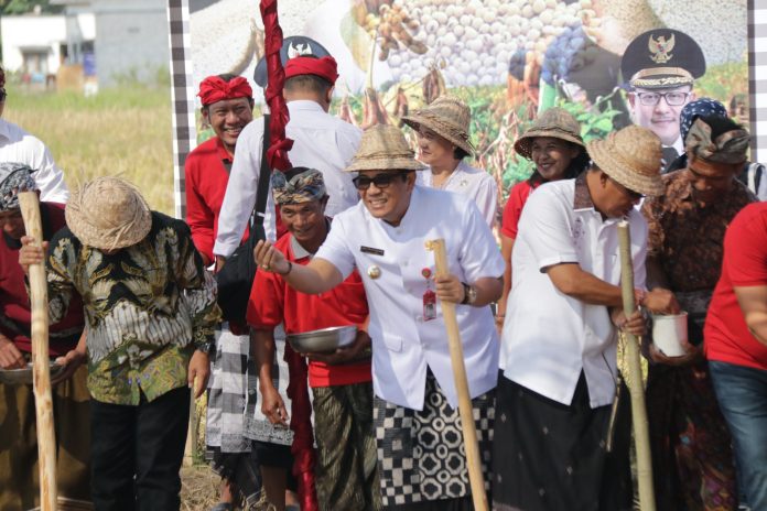 Di Tengah Sawah Subak Gubug, Bupati Sanjaya dan Walikota Malang Tanam Kedelai dan Teken MOU