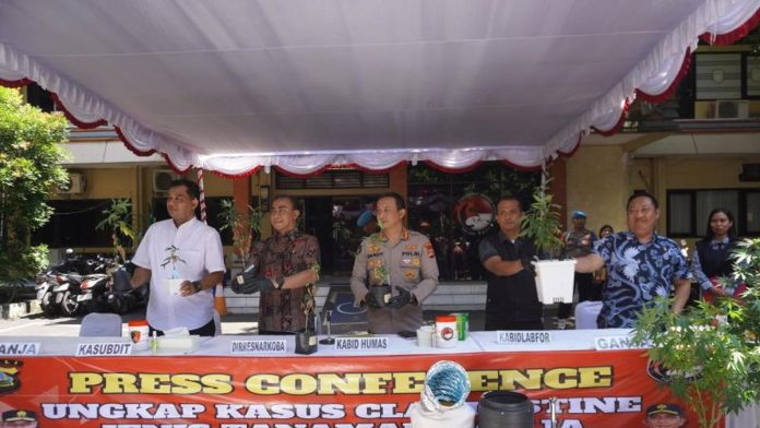 028132800_1759481328-1000959872.jpg Bule Suami Istri Tanam Ganja Hidroponik di Rumah Kontrakan Bali