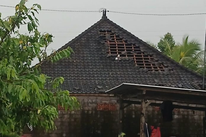 1001163520.jpg