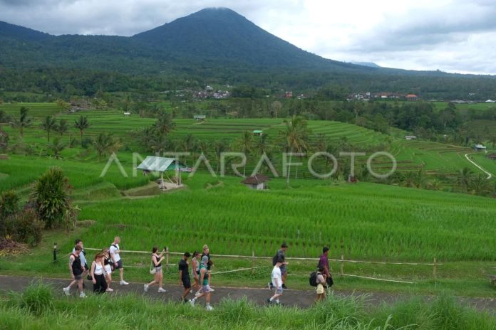 1772366294_prioritas-tata-kelola-pariwisata-di-pulau-bali-1mq9u-dom.jpg