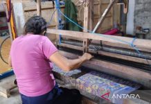 Tenun Ikat khas Bangli di tengah tantangan bahan baku dan regenerasi