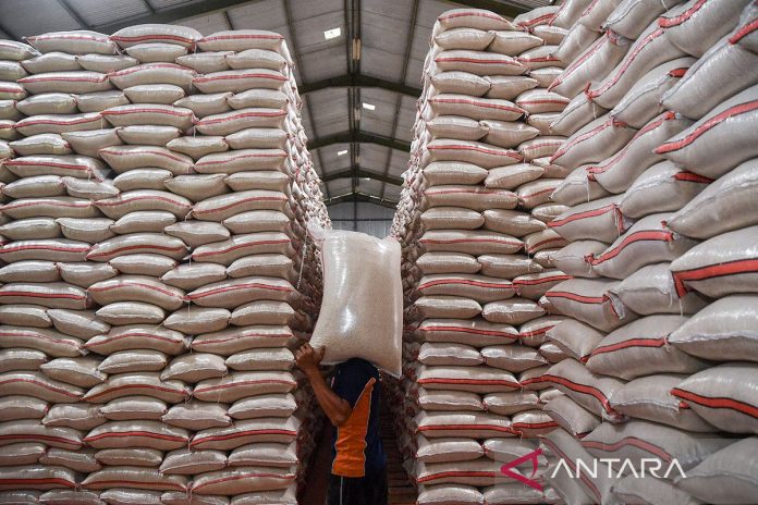 Indonesia-produksi-beras-tertinggi-di-Asia-Tenggara-230626-adb-8.jpg