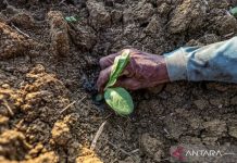 Kerugian akibat perubahan iklim diperkirakan tembus Rp2.005 triliun