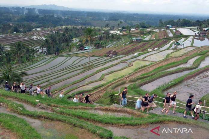 penerimaan-pajak-sektor-pariwisata-bali-270726-nhw-5.jpg