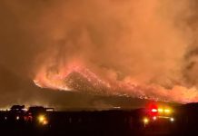Akses wisata Bromo ditutup akibat kebakaran hutan