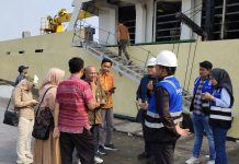 Percepat swasembada susu, Kementan siapkan kapal kirim 200 sapi perah