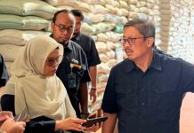Stok beras 5,25 juta ton tersebar seluruh gudang tanah air