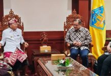 Bali jajaki kerja sama investasi dengan Eropa selain pariwisata