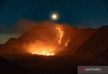 Kebakaran hutan di Taman Nasional Bromo Tengger Semeru meluas