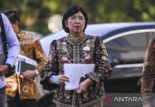 Prabowo ajukan Destry Damayanti jadi Gubernur BI definitif