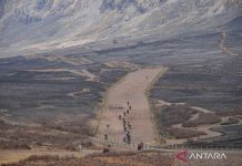 Pascakebakaran hutan, wisata Gunung Bromo mulai dibuka kembali