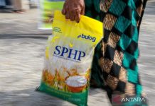 610,3 ribu ton beras SPHP disalurkan hingga 8 Agustus 2026