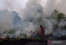 Ada 72 tersangka buntut kebakaran hutan di sembilan polda