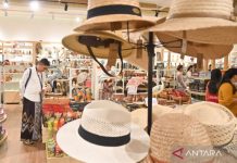 Indonesia financial hub to drive Bali’s economic diversification