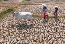 Hujan Belum Turun Selama 123 Hari di Bali, Ini Penjelasan BMKG Hujan Belum Turun Selama 123 Hari di Bali, Ini Penjelasan BMKG