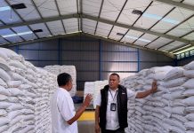 Bulog Bali serap dua kali lipat beras petani
