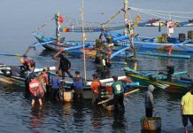 PPN Pengambengan di Jembrana bisa serap 25 ribu pekerja