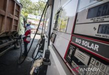 Seluruh terminal BBM hingga SPBU salurkan Biodiesel B50